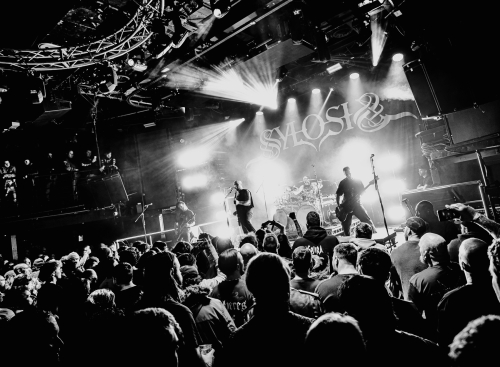 zoltan-szabo-portfolio-047