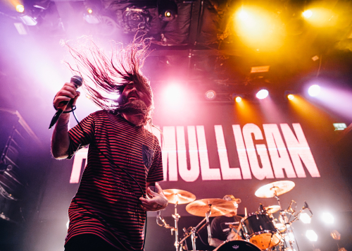 zoltan-szabo-portfolio-070