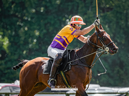 all-ireland-polo-club-6goal-phoenix-park-2024-08-10-007