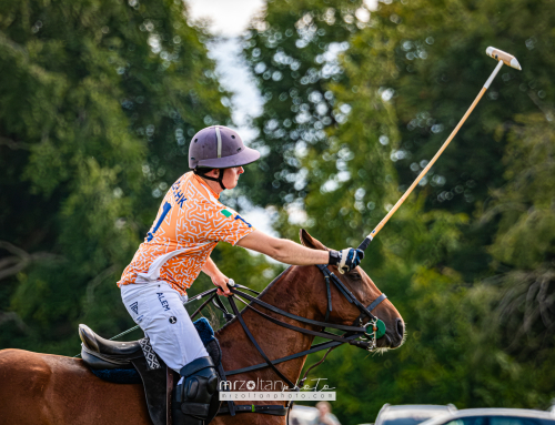 all-ireland-polo-club-6goal-phoenix-park-2024-08-10-039