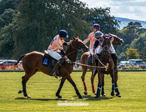 all-ireland-polo-club-6goal-phoenix-park-2024-08-10-063