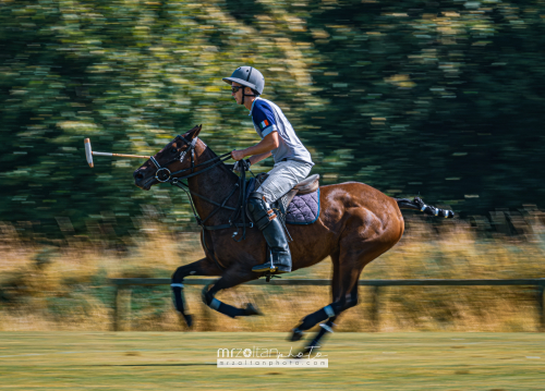 all-ireland-polo-club-6goal-phoenix-park-2024-08-10-100