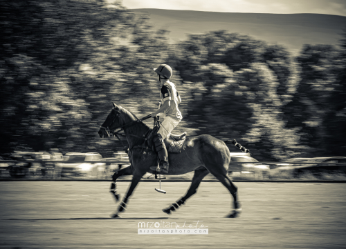 all-ireland-polo-club-6goal-phoenix-park-2024-08-10-101