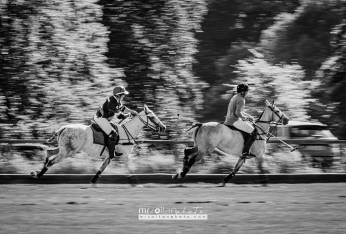 all-ireland-polo-club-6goal-phoenix-park-2024-08-10-107