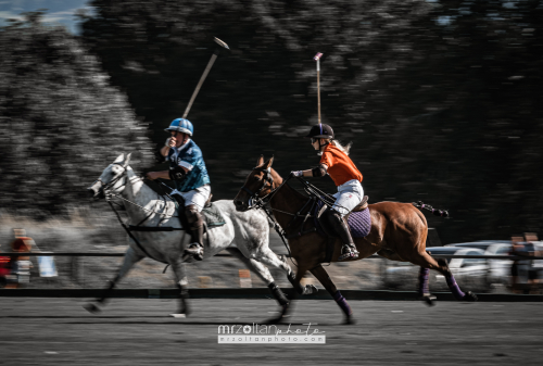 all-ireland-polo-club-6goal-phoenix-park-2024-08-10-112