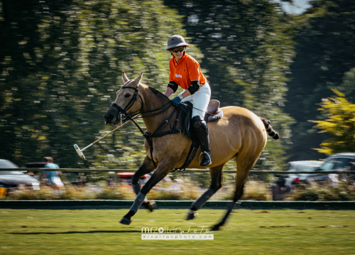 all-ireland-polo-club-6goal-phoenix-park-2024-08-10-115