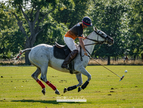 all-ireland-polo-club-6goal-phoenix-park-2024-08-10-129