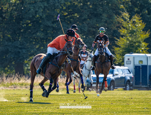 all-ireland-polo-club-6goal-phoenix-park-2024-08-10-149