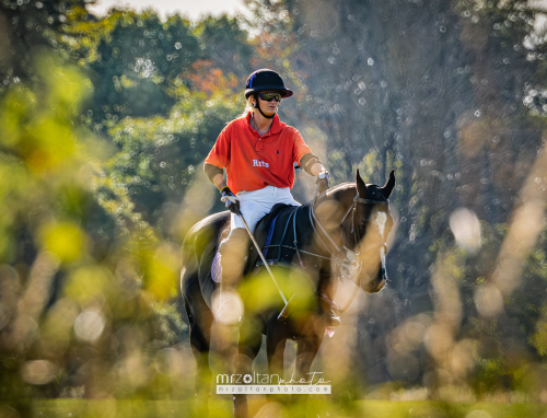 all-ireland-polo-club-6goal-phoenix-park-2024-08-10-158