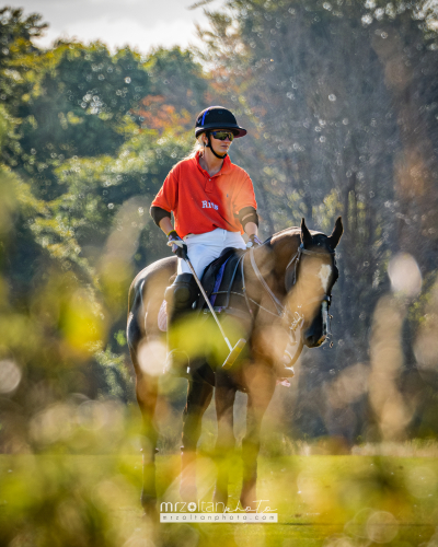 all-ireland-polo-club-6goal-phoenix-park-2024-08-10-159