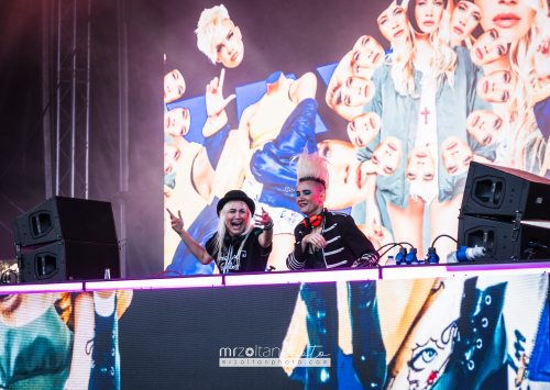 biggest-disco-festival-2024-05-15-075 (1)