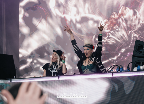biggest-disco-festival-2024-05-15-081 (1)