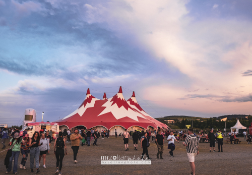 biggest-disco-festival-2024-05-15-105 (1)