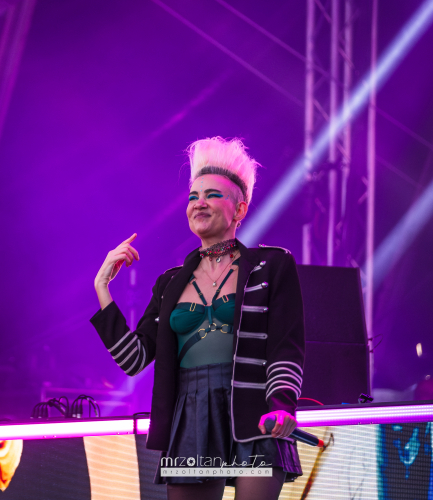biggest-disco-festival-2024-05-15-114 (1)