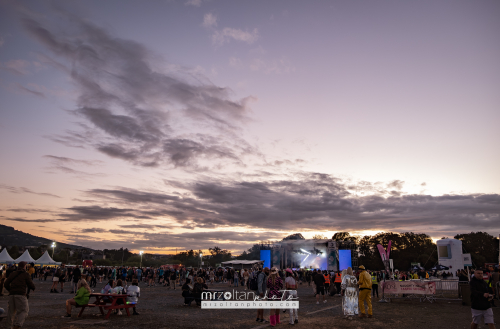 biggest-disco-festival-2024-05-15-129 (1)