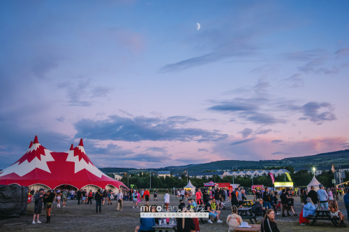 biggest-disco-festival-2024-05-15-130 (1)