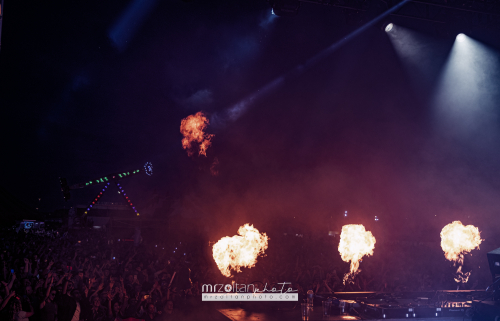 biggest-disco-festival-2024-05-15-142 (1)