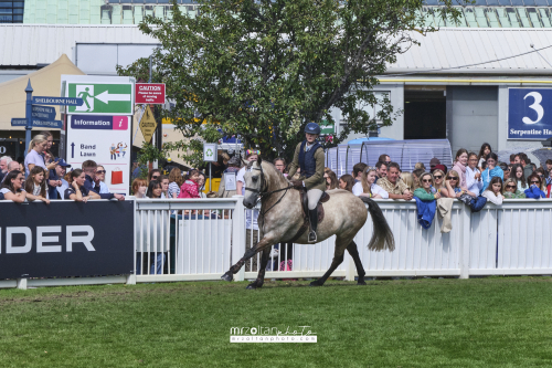 dublin-horse-show-2023-160