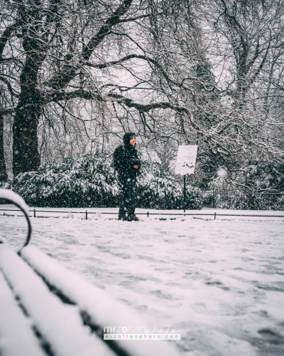 dublin-snow-2024-010