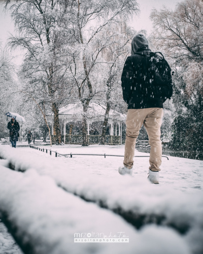 dublin-snow-2024-013