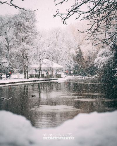 dublin-snow-2024-015