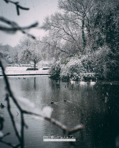 dublin-snow-2024-020