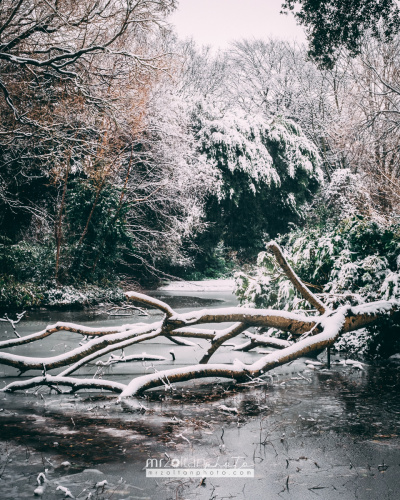 dublin-snow-2024-021