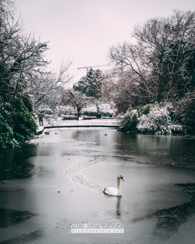 dublin-snow-2024-022