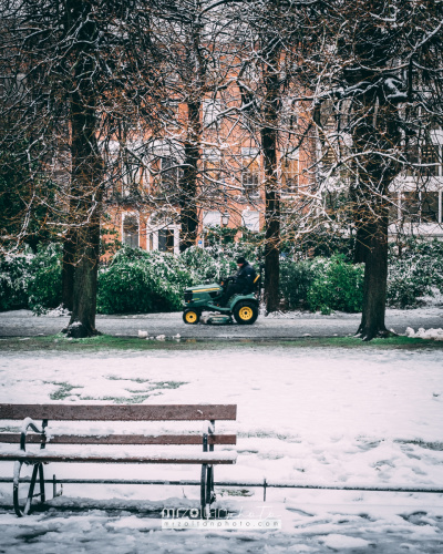 dublin-snow-2024-025