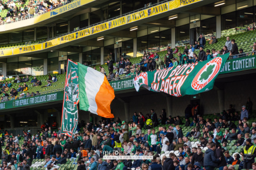 football-hungary-vs-ireland-friendly-20240604-005 (1)