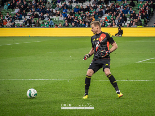 football-hungary-vs-ireland-friendly-20240604-062