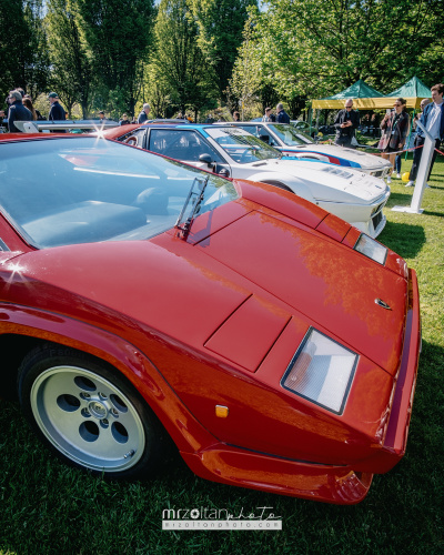 herbert park car show 2024 008