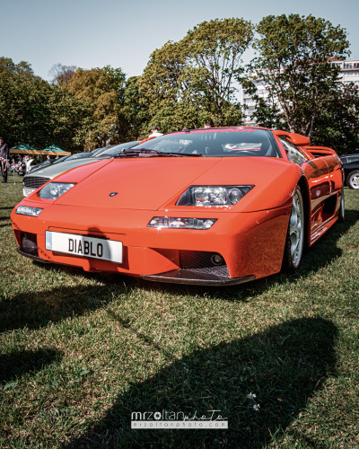 herbert park car show 2024 014