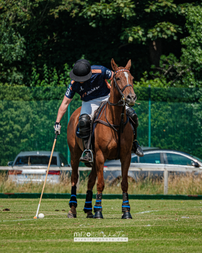 polo-novice-cup-phoenix-park-2024-07-28-005