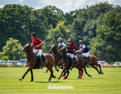 polo-novice-cup-phoenix-park-2024-07-28-021