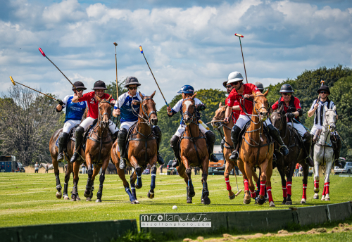 polo-novice-cup-phoenix-park-2024-07-28-027