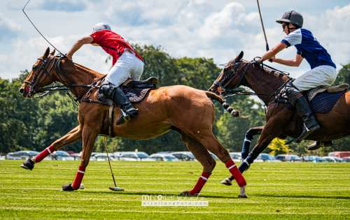 polo-novice-cup-phoenix-park-2024-07-28-028